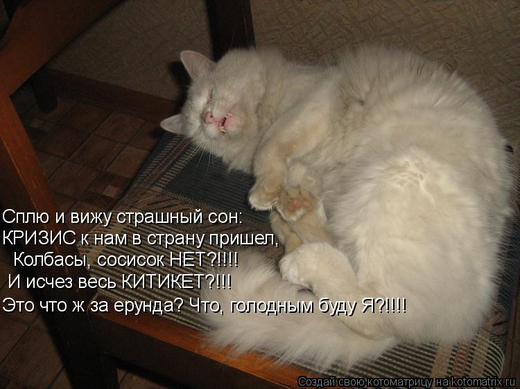 Сплю и вижу страшный сон: КРИЗИС к нам в страну пришел, Колбасы, сосисок НЕТ?!!!! И исчез весь КИТИКЕ... Котоматрица: Сплю и вижу страшный сон: КРИЗИС к нам в страну пришел, Колбасы, сосисок НЕТ?!!!! И исчез весь КИТИКЕТ?!!! Это что ж за ерунда? Что, голодным буду
