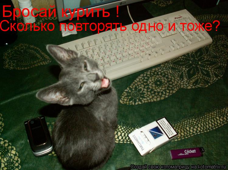 Бросай курить ! Сколько повторять одно и тоже?... Котоматрица: Бросай курить ! Сколько повторять одно и тоже?