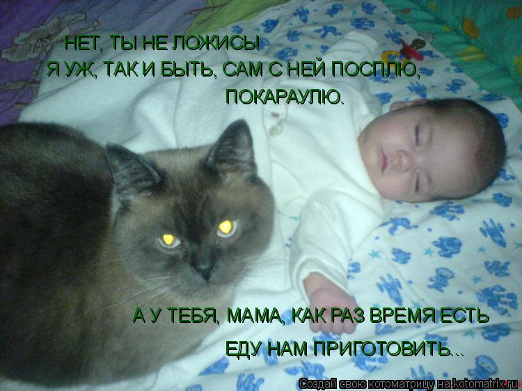 Котоматрица: А У ТЕБЯ, МАМА, КАК РАЗ ВРЕМЯ ЕСТЬ ЕДУ НАМ ПРИГОТОВИТЬ... НЕТ, ТЫ НЕ ЛОЖИСЬ! Я УЖ, ТАК И БЫТЬ, САМ С НЕЙ ПОСПЛЮ,  ПОКАРАУЛЮ.