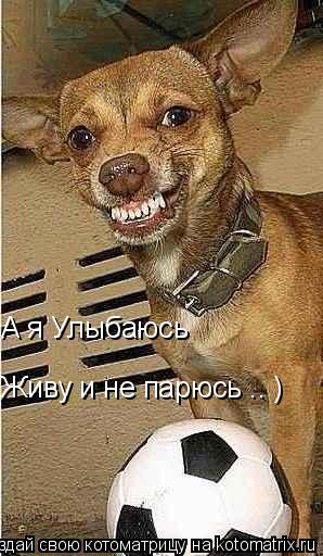 А я Улыбаюсь Живу и не парюсь .. )... Котоматрица: А я Улыбаюсь Живу и не парюсь .. )