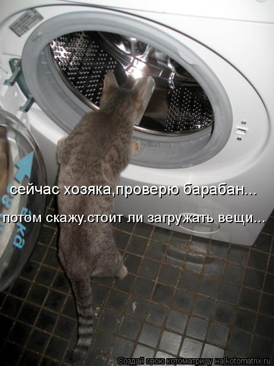 сейчас хозяка,проверю барабан... потом скажу.стоит ли загружать вещи...... Котоматрица: сейчас хозяка,проверю барабан... потом скажу.стоит ли загружать вещи...