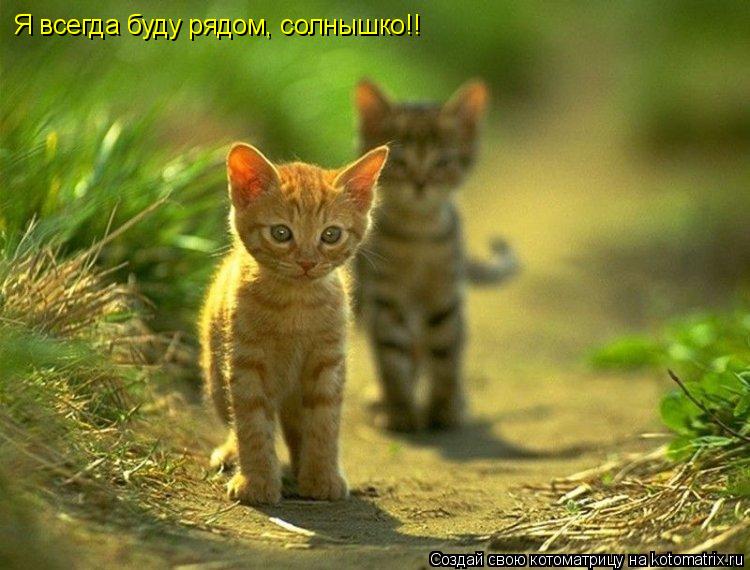 Котоматрица: Я всегда буду рядом, солнышко!!