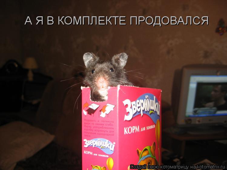 А Я В КОМПЛЕКТЕ ПРОДОВАЛСЯ... Котоматрица: А Я В КОМПЛЕКТЕ ПРОДОВАЛСЯ