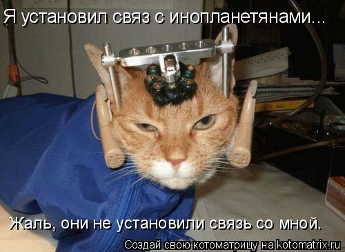 Я установил связ с инопланетянами... Жаль, они не установили связь со мной.... Котоматрица: Я установил связ с инопланетянами... Жаль, они не установили связь со мной.