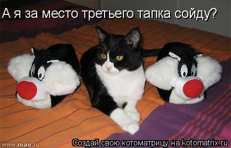А я за место третьего тапка сойду?... Котоматрица: А я за место третьего тапка сойду?
