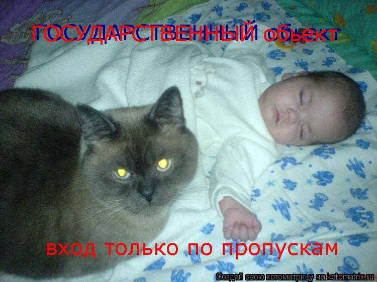 Котоматрица: ГОСУДАРСТВЕННЫЙ обьект ГОСУДАРСТВЕННЫЙ обьект вход только по пропускам