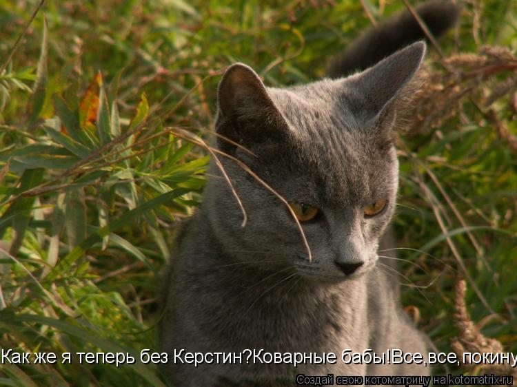 Как же я теперь без Керстин?Коварные бабы!Все,все,покинули меня!... Котоматрица: Как же я теперь без Керстин?Коварные бабы!Все,все,покинули меня!