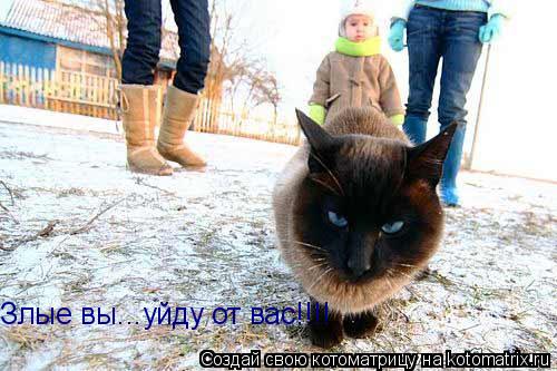 Злые вы...уйду от вас!!!!... Котоматрица: Злые вы...уйду от вас!!!!