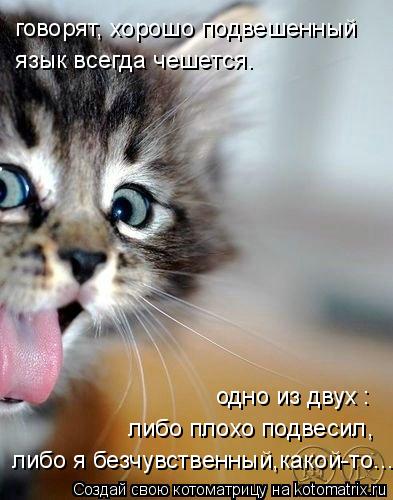 Котоматрица: язык всегда чешется. либо я безчувственный,какой-то... либо плохо подвесил, одно из двух : говорят, хорошо подвешенный
