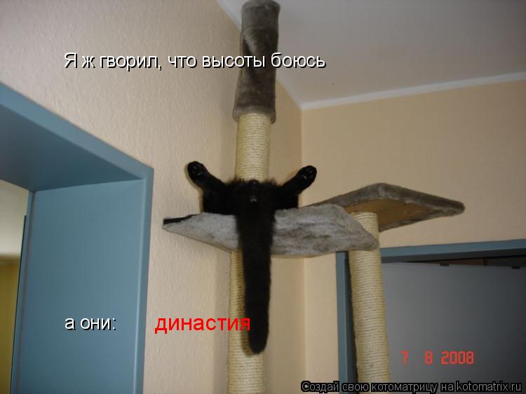 Я ж гворил, что высоты боюсь а они: династия... Котоматрица: Я ж гворил, что высоты боюсь а они: династия