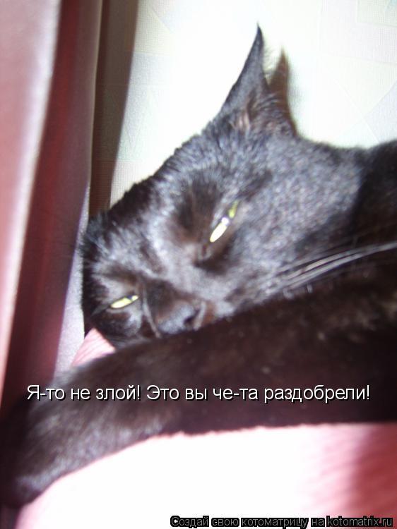 Я-то не злой! Это вы че-та раздобрели!... Котоматрица: Я-то не злой! Это вы че-та раздобрели!