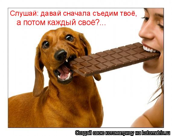 Котоматрица: а потом каждый своё?... Слушай: давай сначала съедим твоё,