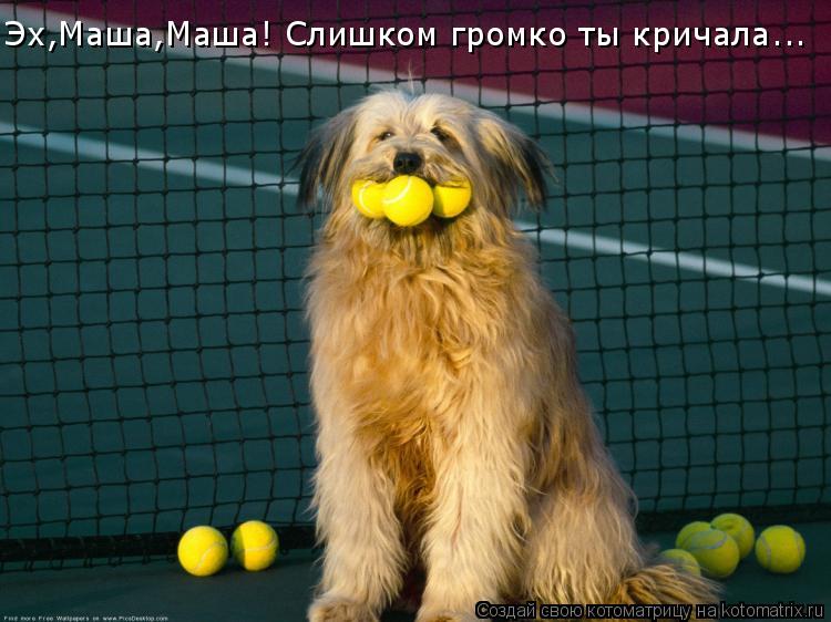 Котоматрица: Эх,Маша,Маша! Слишком громко ты кричала...