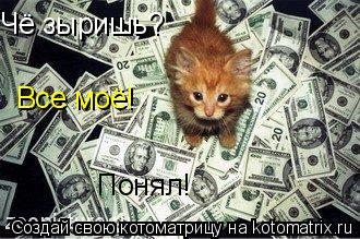 Чё зыришь? Все моё! Понял!... Котоматрица: Чё зыришь? Все моё! Понял!