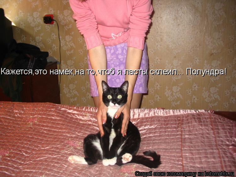 Котоматрица: Кажется,это намёк,на то,чтоб я ласты склеил... Полундра!