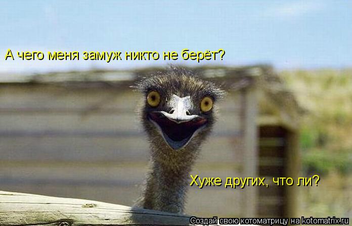 Хуже других, что ли? А чего меня замуж никто не берёт?... Котоматрица: Хуже других, что ли? А чего меня замуж никто не берёт?