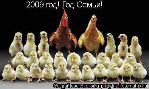 2009 год! Год Семьи!... Котоматрица: 2009 год! Год Семьи!