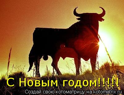 С Новым годом!!!!!... Котоматрица: С Новым годом!!!!!