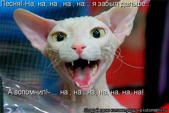 Песня!-На, на, на , на , на... я забыл дальше... А вспомнил!- ... на , на , на, на, на, на, на!... Котоматрица: Песня!-На, на, на , на , на... я забыл дальше... А вспомнил!- ... на , на , на, на, на, на, на!