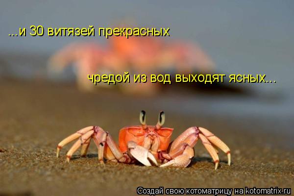 ...и 30 витязей прекрасных чредой из вод выходят ясных...... Котоматрица: ...и 30 витязей прекрасных чредой из вод выходят ясных...