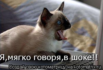 Котоматрица: Я,мягко говоря,в шоке!!