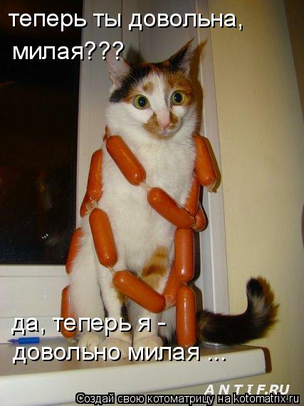 Котоматрица: теперь ты довольна, да, теперь я - довольно милая ... милая???