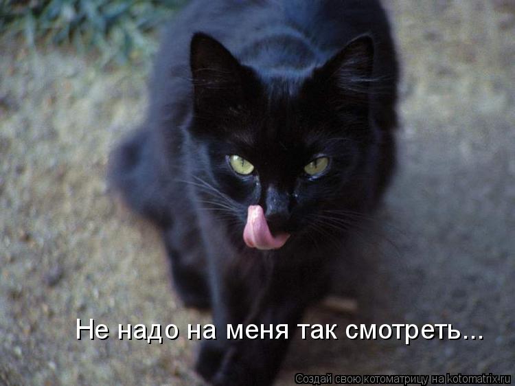 Не надо на меня так смотреть...... Котоматрица: Не надо на меня так смотреть...