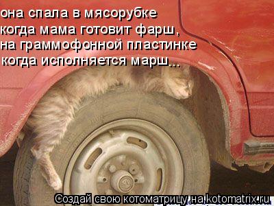 Котоматрица: она спала в мясорубке  когда мама готовит фарш, на граммофонной пластинке когда исполняется марш ...