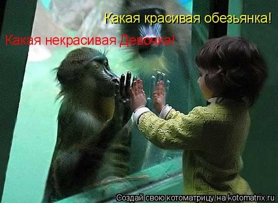 Какая красивая обезьянка! Какая некрасивая Девочка!... Котоматрица: Какая красивая обезьянка! Какая некрасивая Девочка!