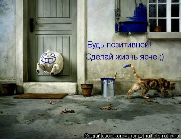 Будь позитивней! Сделай жизнь ярче ;)... Котоматрица: Будь позитивней! Сделай жизнь ярче ;)