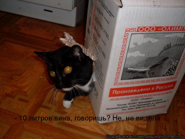 Котоматрица: - 10 литров вина, говоришь? Не, не видела....