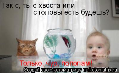 Тэк-с, ты с хвоста или с головы есть будешь? Только, чур, пополам!... Котоматрица: Тэк-с, ты с хвоста или с головы есть будешь? Только, чур, пополам!