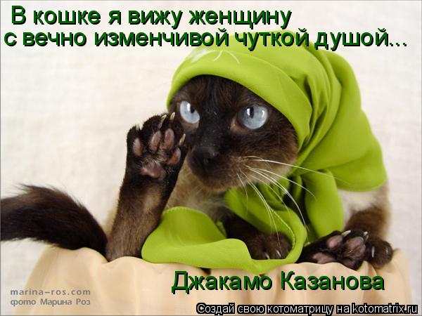 В кошке я вижу женщину с вечно изменчивой чуткой душой... Джакамо Казанова... Котоматрица: В кошке я вижу женщину с вечно изменчивой чуткой душой... Джакамо Казанова