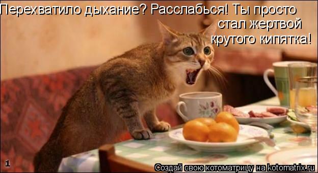 Котоматрица: Перехватило дыхание? Расслабься! Ты просто стал жертвой крутого кипятка!