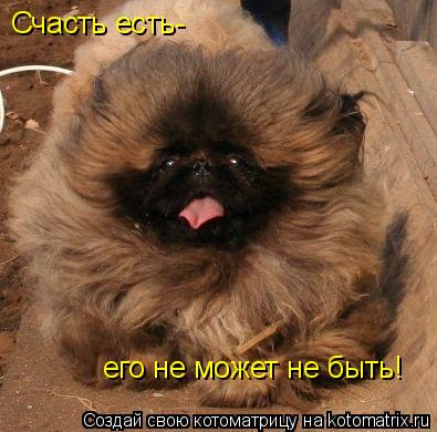 Счасть есть- его не может не быть!... Котоматрица: Счасть есть- его не может не быть!