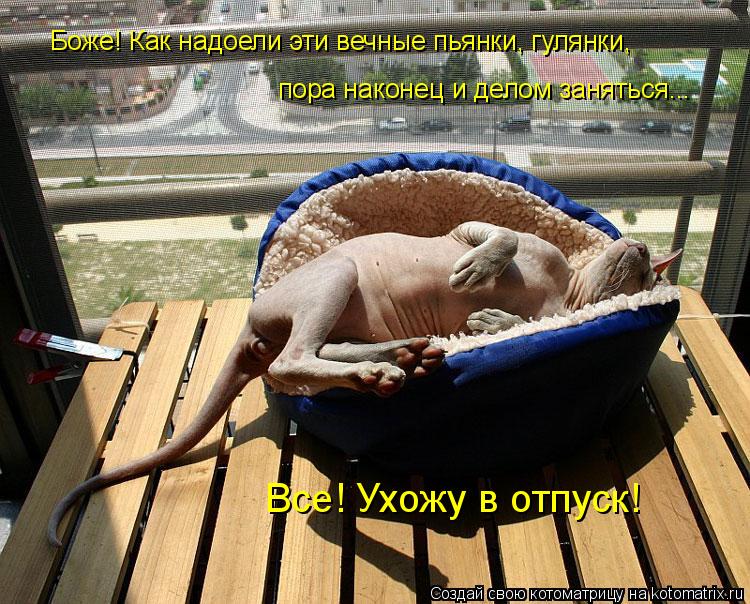 Все! Ухожу в отпуск! Боже! Как надоели эти вечные пьянки, гулянки, пора наконец и делом заняться...... Котоматрица: Все! Ухожу в отпуск! Боже! Как надоели эти вечные пьянки, гулянки, пора наконец и делом заняться...