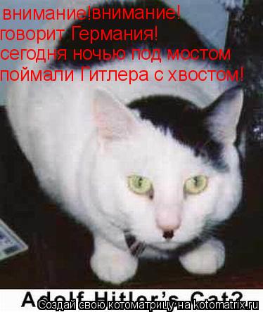 внимание! внимание! говорит Германия! сегодня ночью под мостом поймали Гитлера с хвостом!... Котоматрица: внимание! внимание! говорит Германия! сегодня ночью под мостом поймали Гитлера с хвостом!