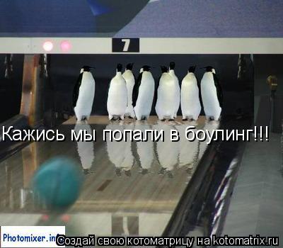 Котоматрица: Кажись мы попали в боулинг!!!