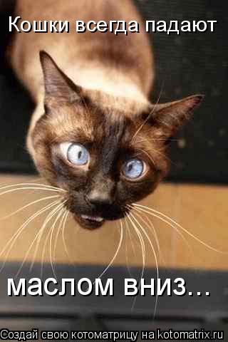Кошки всегда падают маслом вниз...... Котоматрица: Кошки всегда падают маслом вниз...