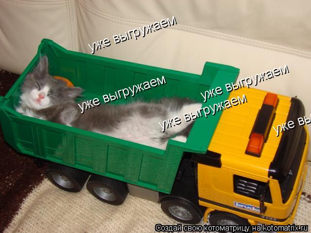 Котоматрица: уже выгружаем уже выгружаем уже выгружаем уже выгружаем уже выгружаем