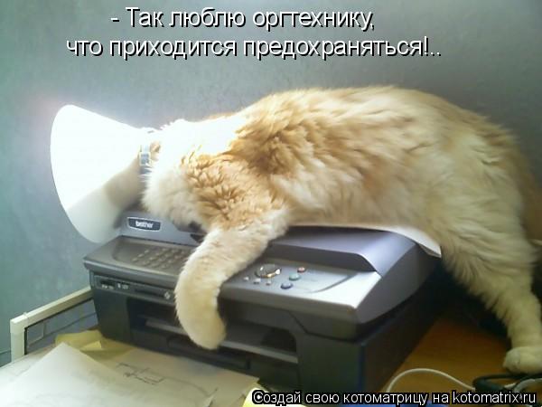 - Так люблю оргтехнику, что приходится предохраняться!..... Котоматрица: - Так люблю оргтехнику, что приходится предохраняться!..