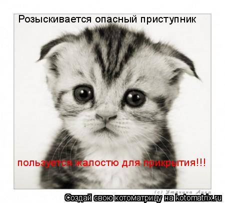 Розыскивается опасный приступник пользуется жалостю для прикрытия!!!... Котоматрица: Розыскивается опасный приступник пользуется жалостю для прикрытия!!!
