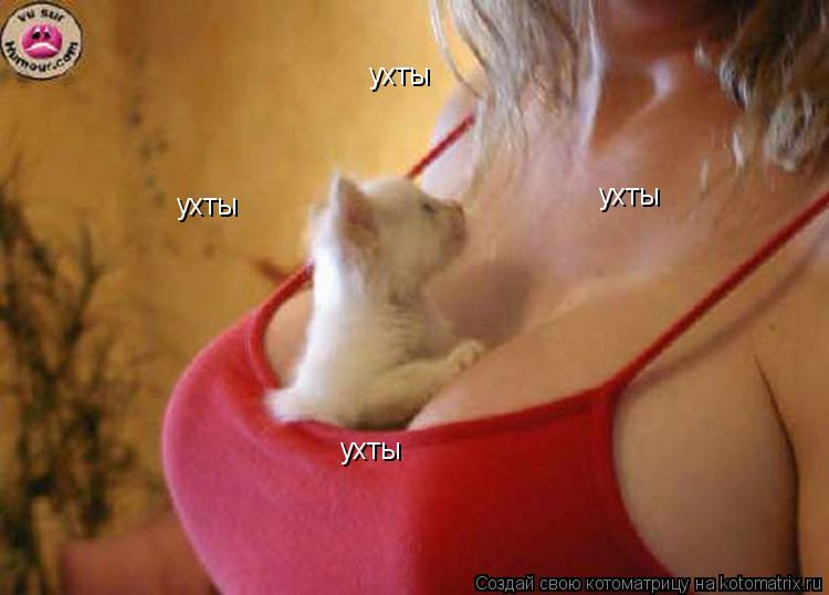 Котоматрица: ухты ухты ухты ухты