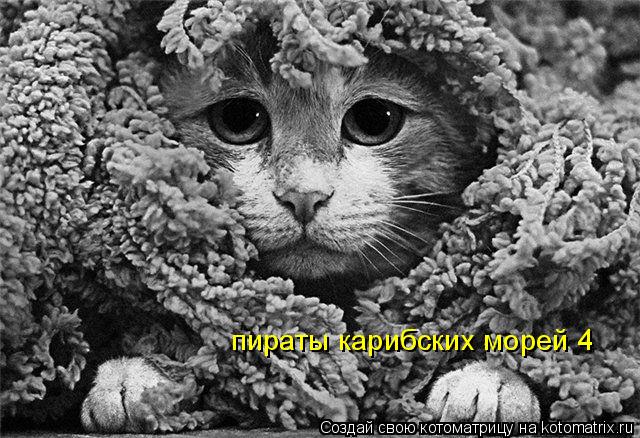 пираты карибских морей 4... Котоматрица: пираты карибских морей 4