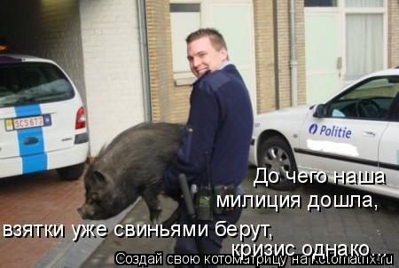 Котоматрица: До чего наша  милиция дошла, взятки уже свиньями берут, кризис однако...