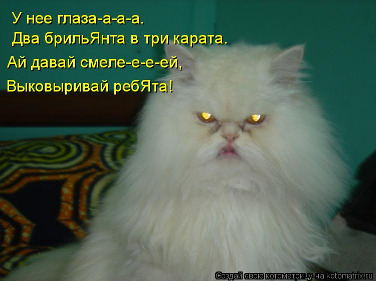 Котоматрица: У нее глаза-а-а-а… Два брильЯнта в три карата… Ай давай смеле-е-е-ей, Выковыривай ребЯта!