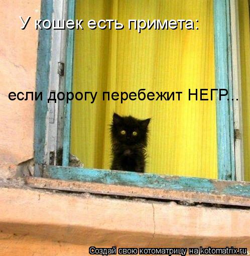 У кошек есть примета: если дорогу перебежит НЕГР...... Котоматрица: У кошек есть примета: если дорогу перебежит НЕГР...
