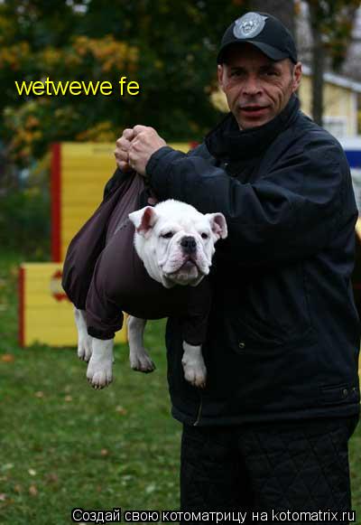 wetwewe fe... Котоматрица: wetwewe fe
