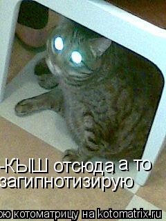 -КЫШ отсюда а то , загипнотизирую... Котоматрица: -КЫШ отсюда а то , загипнотизирую