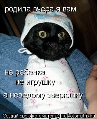 родила вчера я вам не ребенка не игрушку а неведому зверюшку... Котоматрица: родила вчера я вам не ребенка не игрушку а неведому зверюшку